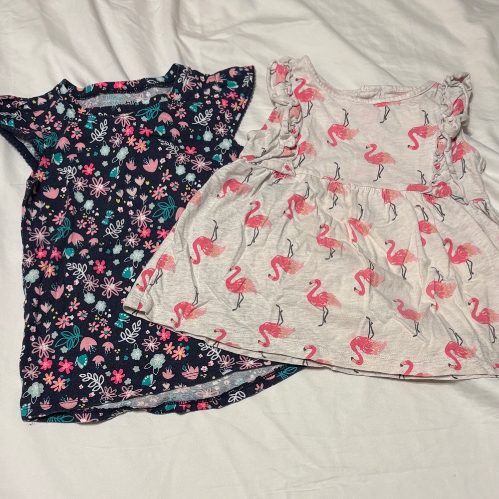 Floral and Flamingo Kids Tops Set